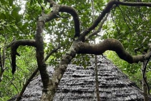 ZANZIBAR: czerwone małpy z lasu Jozani i pływanie w jaskini Maalum