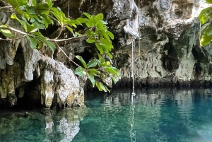 ZANZIBAR: Jozani Forest Red Monkeys & Maalum Cave Swimming