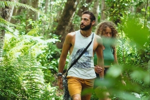 ZANZIBAR: Jozani Forest Red Monkeys & Maalum Cave Swimming