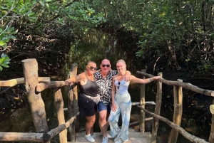 ZANZIBAR: Jozani Forest Red Monkeys & Maalum Cave Swimming