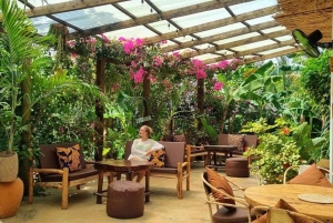 ZANZIBAR: Jozani Forest Red Monkeys & Maalum Cave Swimming