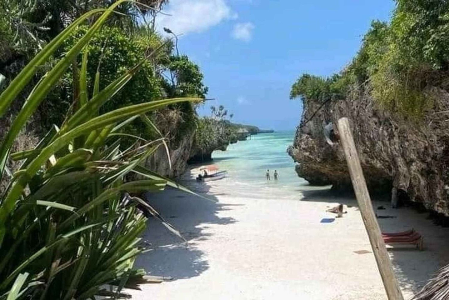 Zanzibar: Tutustu Jozanin metsään, matelijapuistoon ja Mtende Beachiin