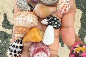 Zanzibar: Tutustu Jozanin metsään, matelijapuistoon ja Mtende Beachiin