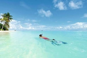 Zanzibar: Tutustu Jozanin metsään, matelijapuistoon ja Mtende Beachiin