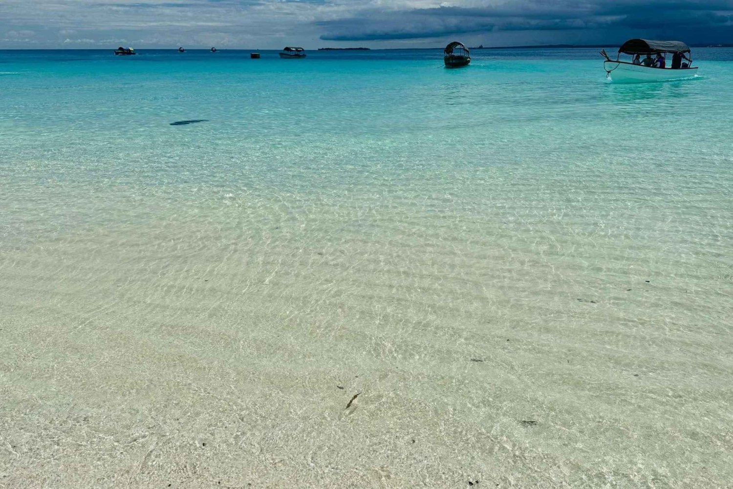Занзибар: лес Джозани, парк рептилий и экскурсия в пещеру Салаам