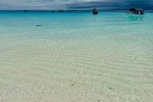 Sansibar: Jozani-Wald, Reptilienpark und Salaam-Höhlen-Tour