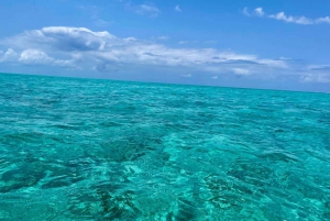 Sansibar: Jozani-Wald, Reptilienpark und Salaam-Höhlen-Tour