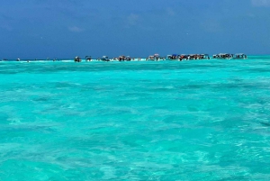 Sansibar: Jozani-Wald, Reptilienpark und Salaam-Höhlen-Tour