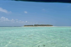 Sansibar: Jozani-Wald, Reptilienpark und Salaam-Höhlen-Tour