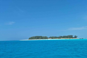 Sansibar: Jozani-Wald, Reptilienpark und Salaam-Höhlen-Tour