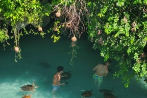 Sansibar: Jozani-Wald, Reptilienpark und Salaam-Höhlen-Tour