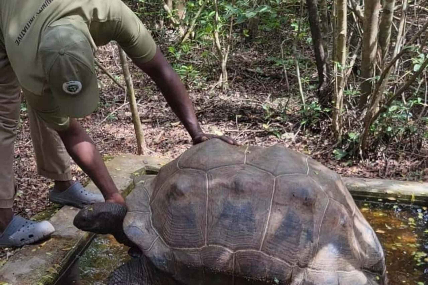 ZANZIBAR: Floresta de Jozani, Parque de Répteis e Restaurante The Rock