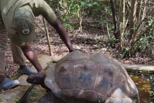 ZANZIBAR: Floresta de Jozani, Parque de Répteis e Restaurante The Rock