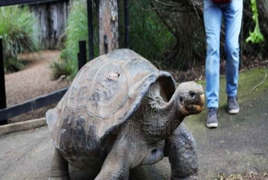ZANZIBAR: Floresta de Jozani, Parque de Répteis e Restaurante The Rock