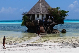 ZANZIBAR: Floresta de Jozani, Parque de Répteis e Restaurante The Rock