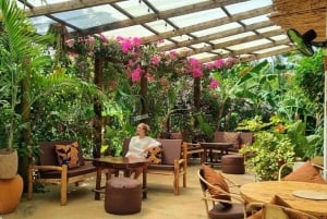 ZANZIBAR : visite de la forêt de Jozani, de la grotte de Salaam et de la grotte de Kuza