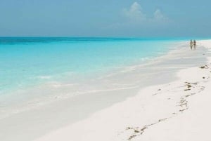 Zanzibar: Jozani-metsä, Salaam-luola ja Mtende-rannan kiertue