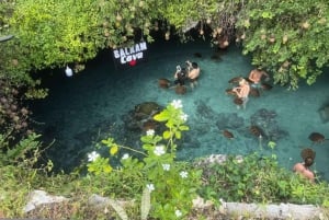 Zanzibar: Jozani-bos, zeeschildpadden en Mtende-strandtour