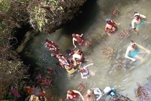 Zanzibar: Jozani-skogen, Salaam-grottan och Mtende-stranden