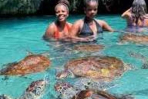 ザンジバル：ジョザニの森、サラーム洞窟、ムテンデ・ニュー・ビーチをご訪問ください