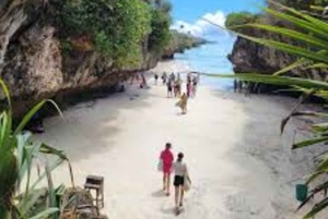 ザンジバル：ジョザニの森、サラーム洞窟、ムテンデ・ニュー・ビーチをご訪問ください