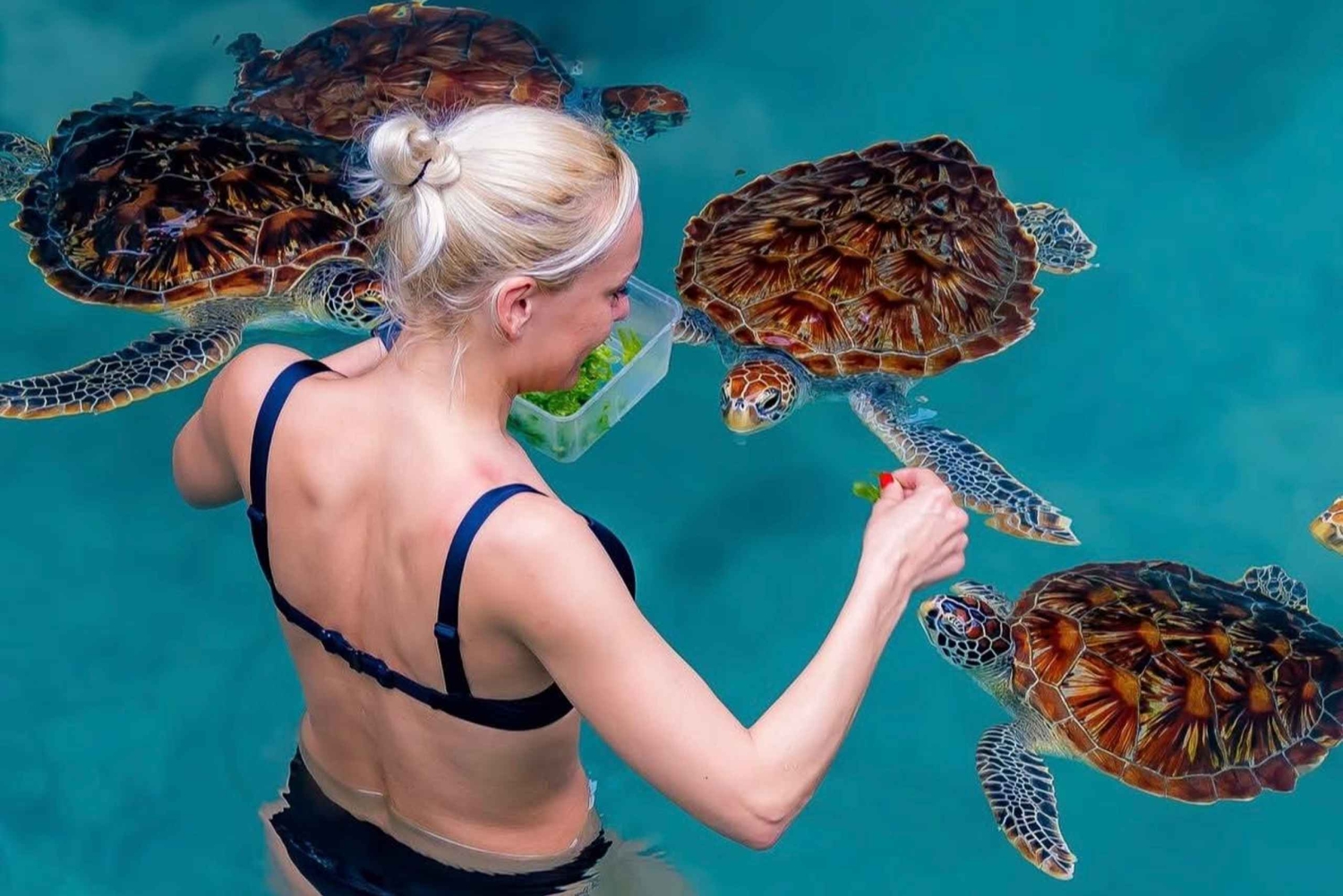 Zanzibar: Jozani Forest & Salaam Cave + Pickup & Entry fees