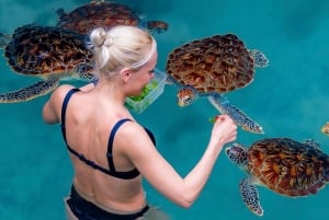 Zanzibar: Jozani Forest & Salaam Cave + Pickup & Entry fees