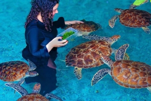 Zanzibar: Jozani Forest & Salaam Cave + Pickup & Entry fees