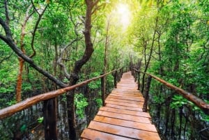 Zanzibar: Jozani Forest & Salaam Cave + Pickup & Entry fees