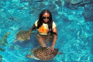 Zanzibar: Jozani Forest & Salaam Cave + Pickup & Entry fees