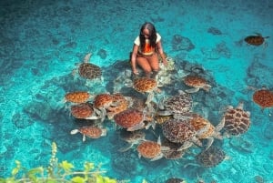 Zanzibar: Jozani Forest & Salaam Cave + Pickup & Entry fees