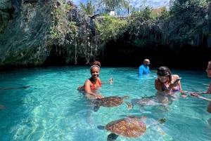 Zanzibar: Jozani Forest & Salaam Cave + Pickup & Entry fees