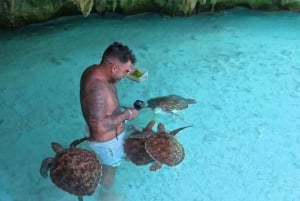 Zanzibar: Jozani Forest, Salaam Cave og Rock Restaurant Tour