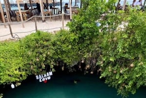 Zanzibar: Jozani-skogen, Salaam-grottan och Rock Restaurant Tour