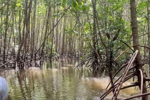 Zanzibar: Jozani-skogen, Salaam-grottan och Rock Restaurant Tour