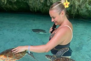 Zanzibar: Jozani-skogen, Salaam-grottan och Rock Restaurant Tour