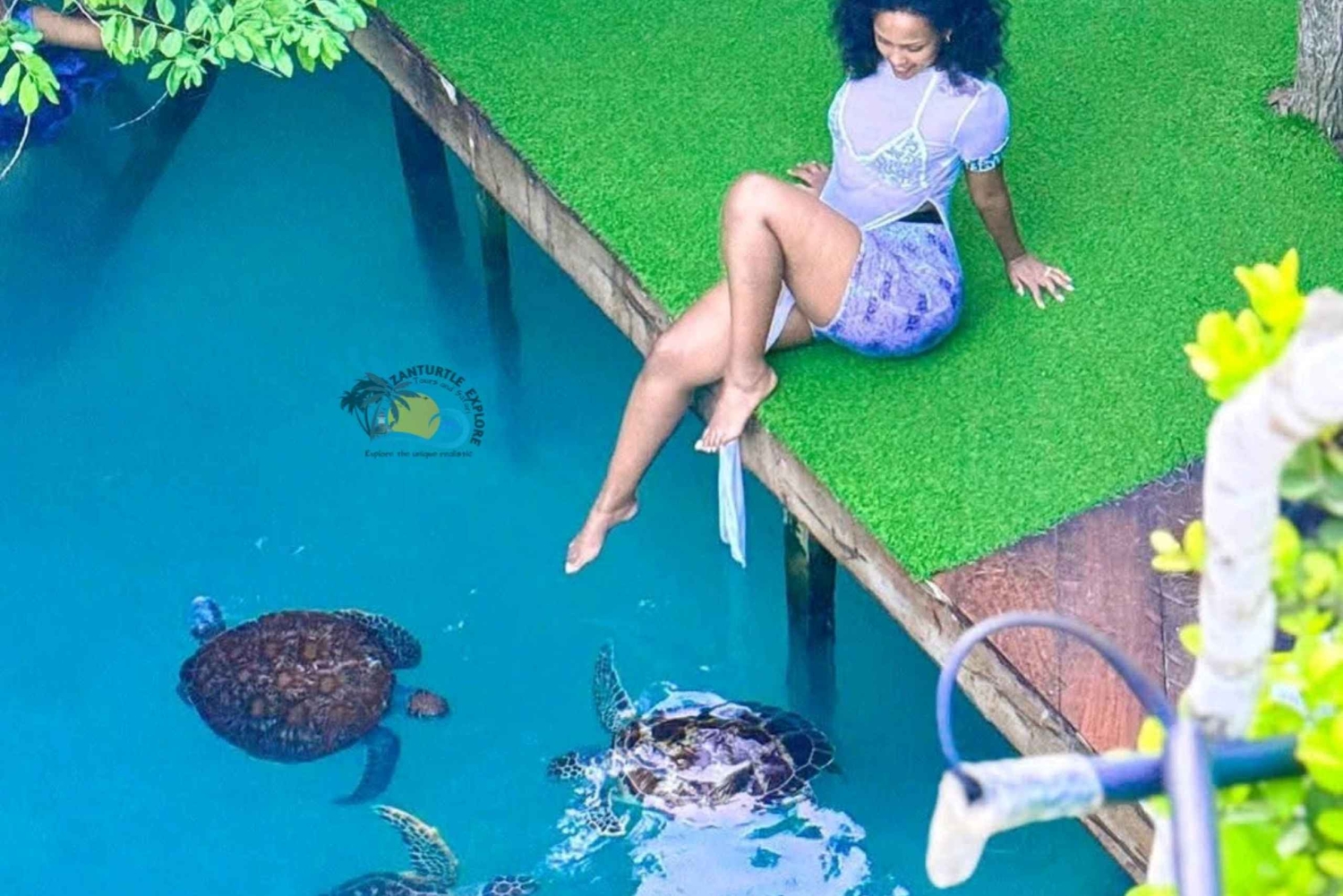 Zanzibar: Jozani Forest & Salaam Cave Sea Turtles Swim Tour