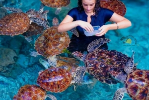 Zanzibar: Jozani Forest & Salaam Cave Sea Turtles Swim Tour