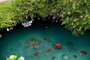 Zanzibar: Jozani Forest & Salaam Cave Sea Turtles Swim Tour