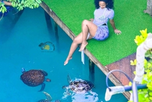 Zanzibar: Jozani Forest & Salaam Cave Sea Turtles Swim Tour