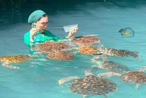 Zanzibar: Jozani Forest & Salaam Cave Sea Turtles Swim Tour