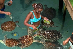 Zanzibar: Jozani Forest & Salaam Cave Sea Turtles Swim Tour