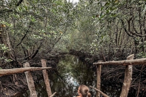 Zanzibar: Jozani Forest & Salaam Cave Sea Turtles Swim Tour