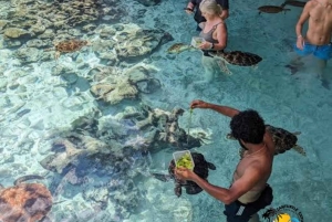 Zanzibar: Jozani Forest & Salaam Cave Sea Turtles Swim Tour