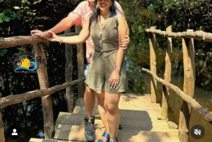 Zanzibar: Jozani Forest & Salaam Cave Sea Turtles Swim Tour