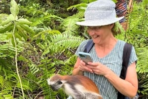 Zanzibar: Jozani Forest, Salaam Cave & Swim with Turtles