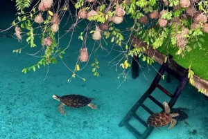 Zanzibar: Jozani Forest, Salaam Cave & Swim with Turtles