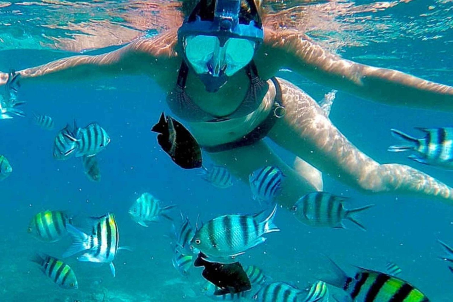 ZANZIBAR: Jozani-Wald, Salaam-Höhle, The Rock & Blue Lagoon