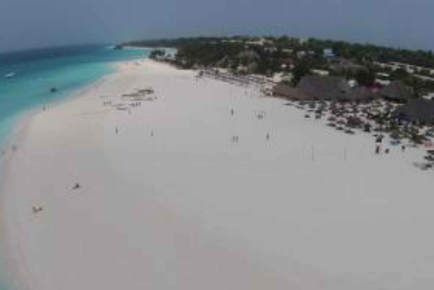 ZANZIBAR: Las Jozani, jaskinia Salaam, The Rock i Blue Lagoon