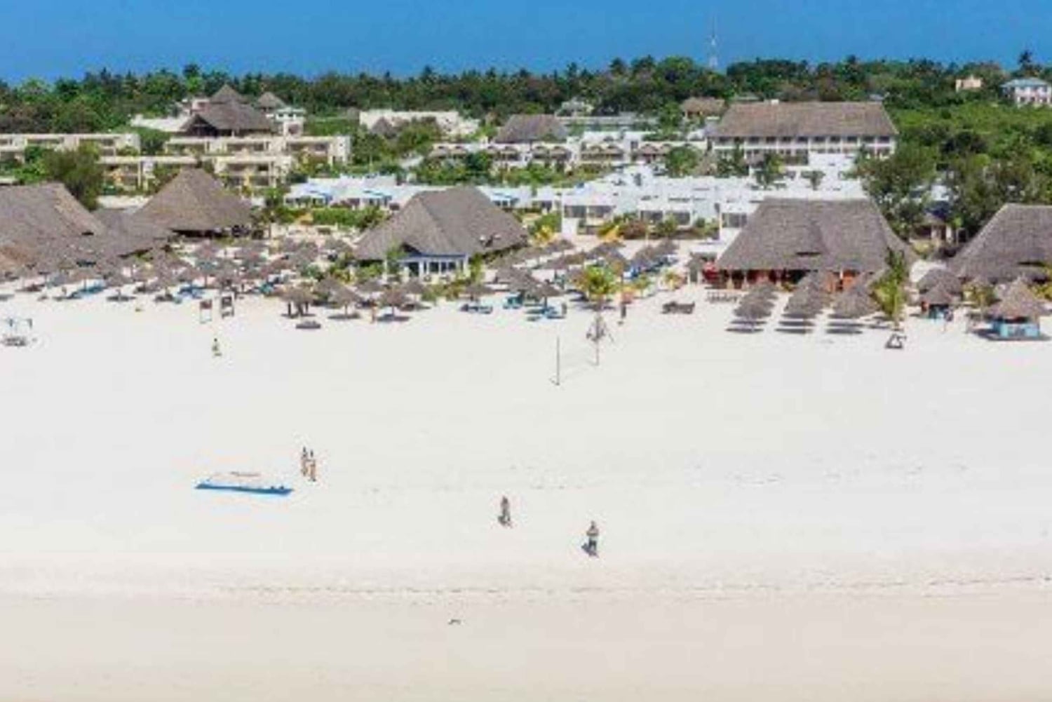 ZANZIBAR: Las Jozani, jaskinia Salaam, The Rock i Blue Lagoon